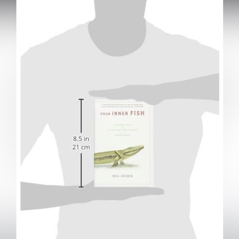 Your Inner Fish - Picture 4 of 6